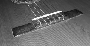 Acoustic guitar bridge